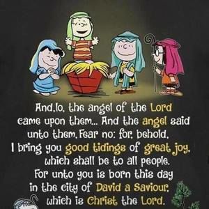 Meet your Posher, Dianne